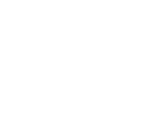 Meta